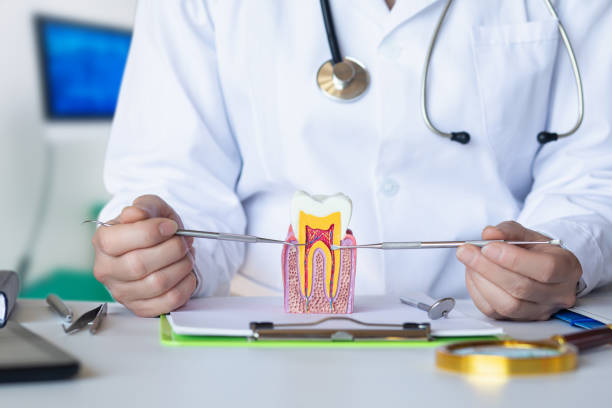Best Emergency Tooth Extraction in Washburn, IL